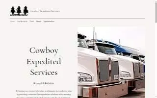Cowboy USA LLC website