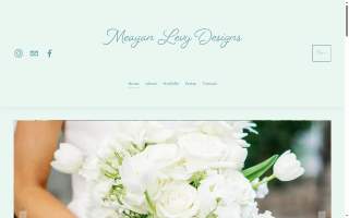 Meagan Levy Designs