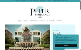 Peper Insurance website