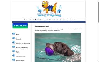 Wag-n-Splash