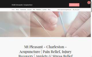 Heidi Alexander Acupuncture Mt Pleasant Charleston SC