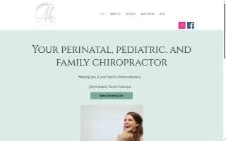 The Art of Health Chiropractic website