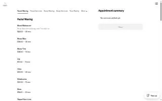 Dandi Lion Aesthetics website