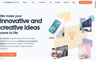 Project Assistant
