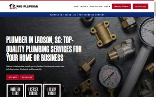 Pro Plumbing