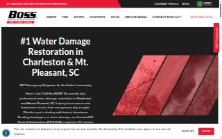 Boss Disaster Restoration Inc.
