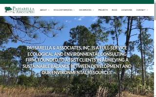 Passarella & Associates Inc