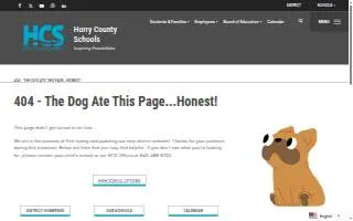 Therapeutic Learning Center website