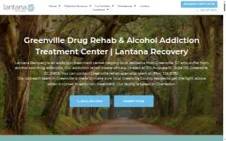 Lantana Recovery of Greenville website