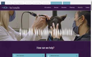 Animal Dermatology Clinic