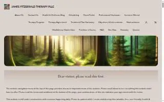 James Fitzgerald Therapy, PLLC website