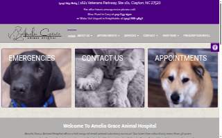Amelia Grace Animal Hospital