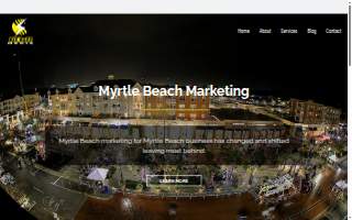 Biz Buzz Media