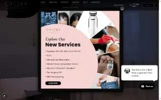Cheeky Medspa - Fairbanks website