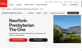 NewYork-Presbyterian The One