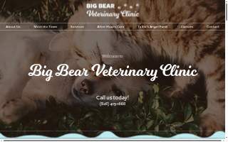 Big Bear Veterinary Clinic