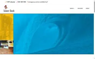 Sewer Duck website