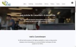 VAE, Inc. of West Springfield website
