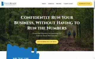 TrueBlaze Accounting & Tax website