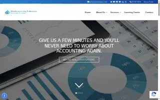 Orlando Accounting Professionals website
