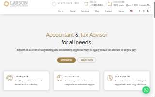 Larson Accounting Group