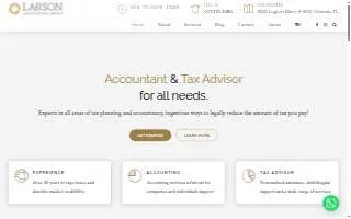 Larson Accounting Group website