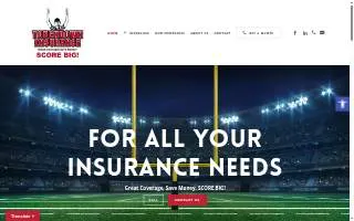 Touchdown of Phoenix website