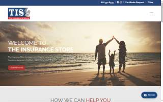 The Insurance Store