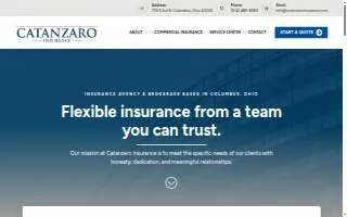 Catanzaro Insurance website