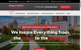 Briggs & Williams Insurance Agency website