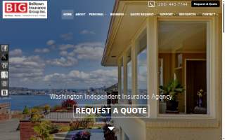 Belltown Insurance Group Inc