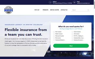 Denver Insurance LLC