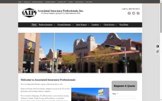 Associated Insurance Professionals, Inc.