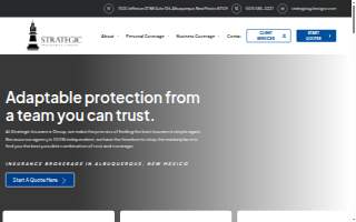 Strategic Insurance Group