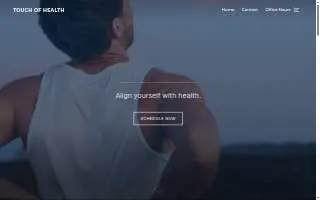 Touch Of Health Chiropractic website
