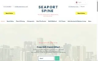 Seaport Spine website