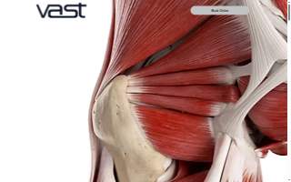 VAST Chiropractic, Inc
