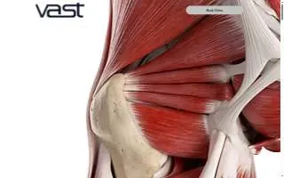 VAST Chiropractic, Inc of Salt Lake City website