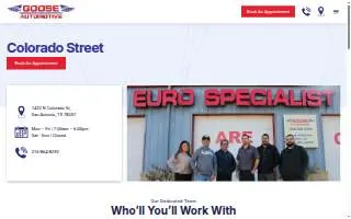 Goose Euro - Downtown website