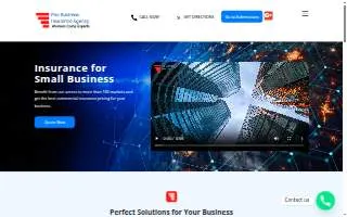 Pao Business Insurance Agency - Workers Compensation & General Liability Experts website