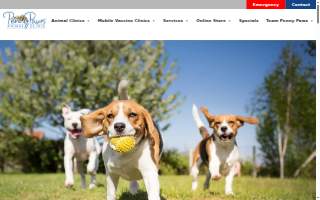 Penny Paws Animal Hospital - Fort Worth