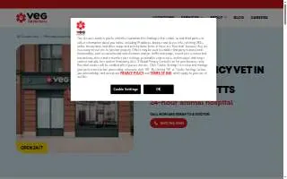 VEG ER for Pets of Boston website