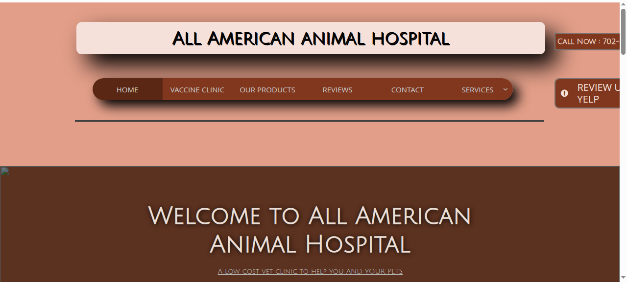 All American Animal Hospital