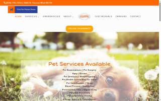 University Pet Clinic