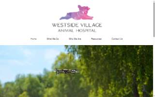 Westside Village Animal Hospital