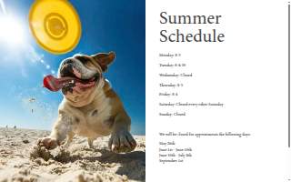 Shaker Square Animal Hospital