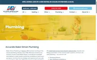 Accurate Baker Elman of Boston website