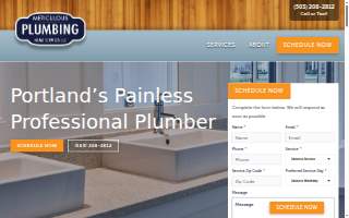 Meticulous Plumbing