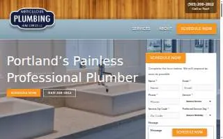 Meticulous Plumbing website