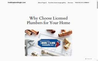 True Blue Plumbing LLC